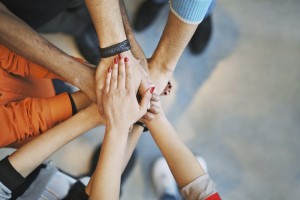 Volunteer in Harford County