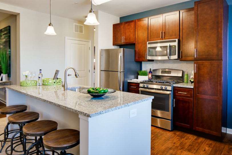 Detailed finishes include vinyl wood-plank flooring throughout the kitchen area.