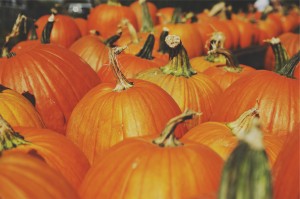Halloween Events for Everyone in Harford County, MD